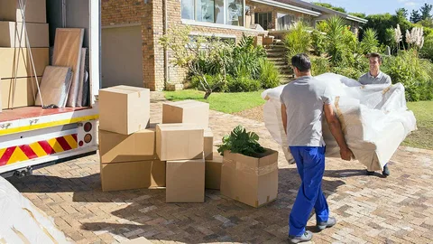 Movers and Packers in Dubai